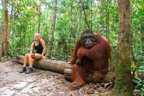 human