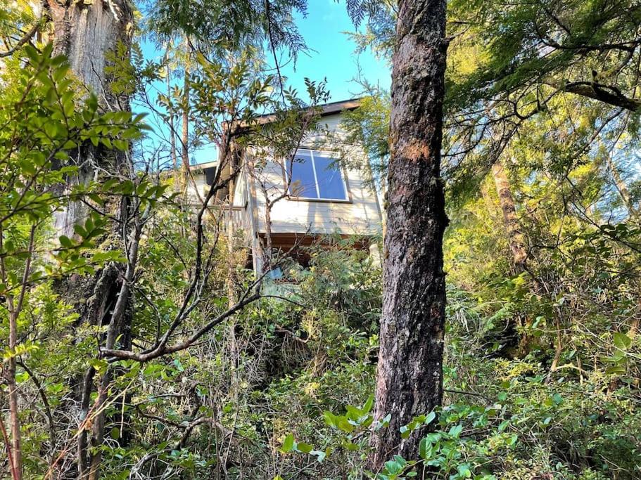 Brown's Beach Guest Suite
