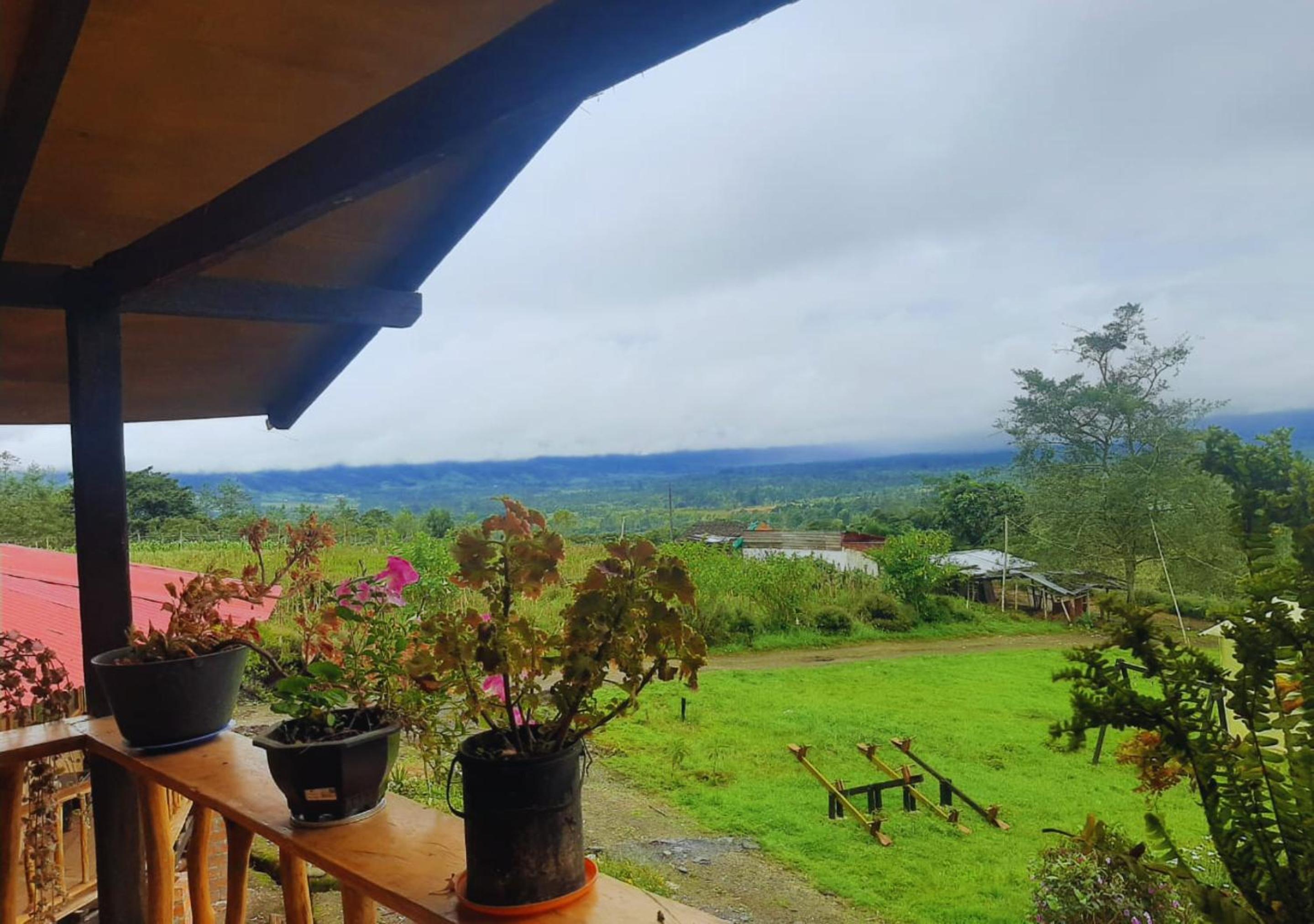 Cozy cabin Casa Enya