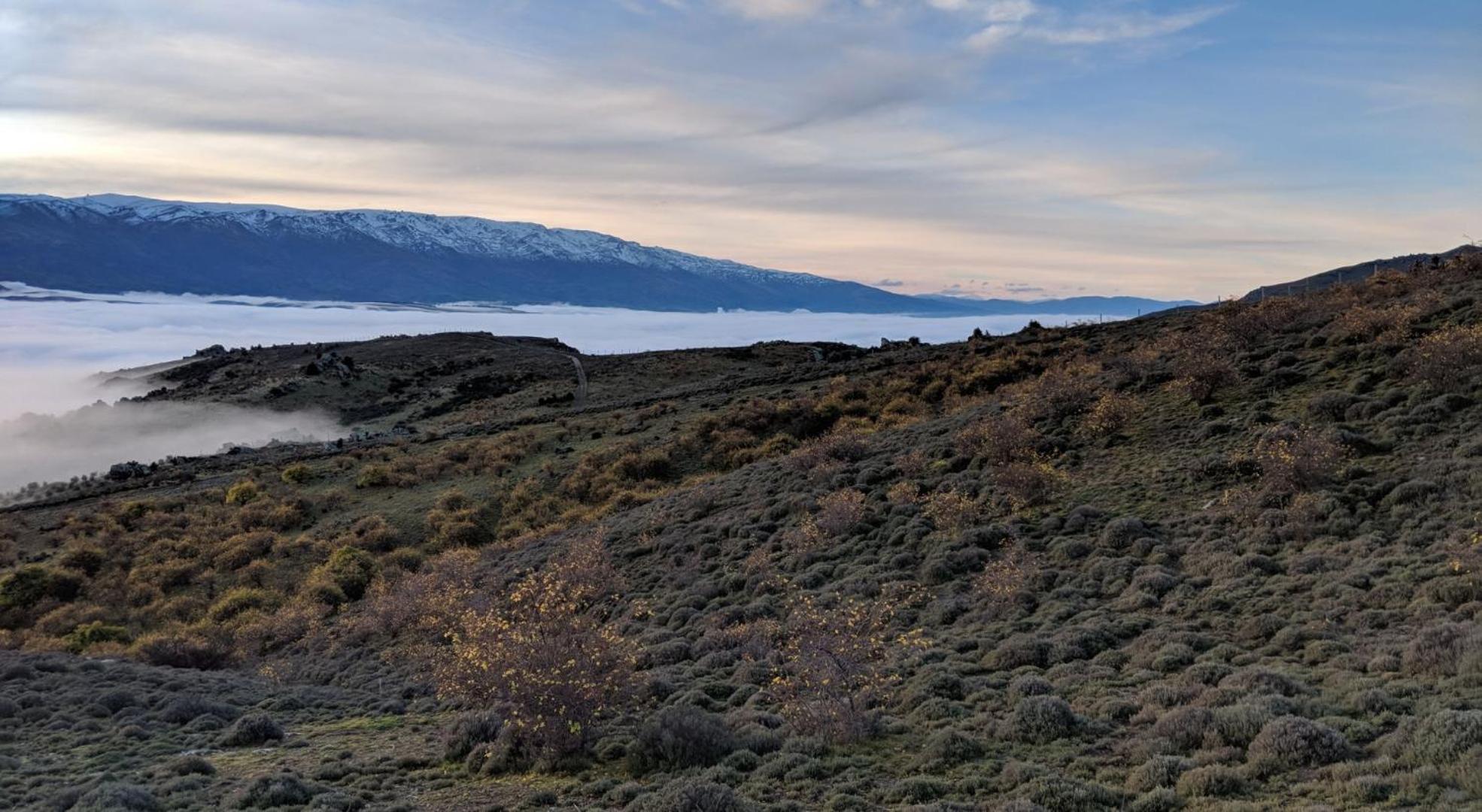 Tāima PurePod view 4