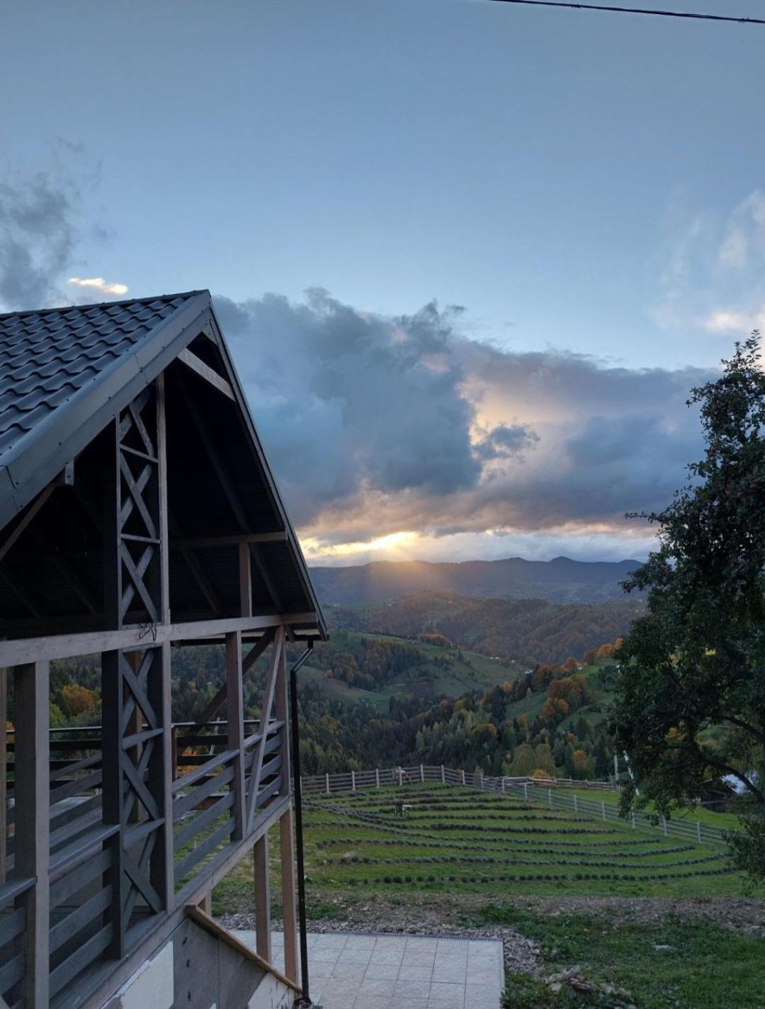 Lavender Valley view 3