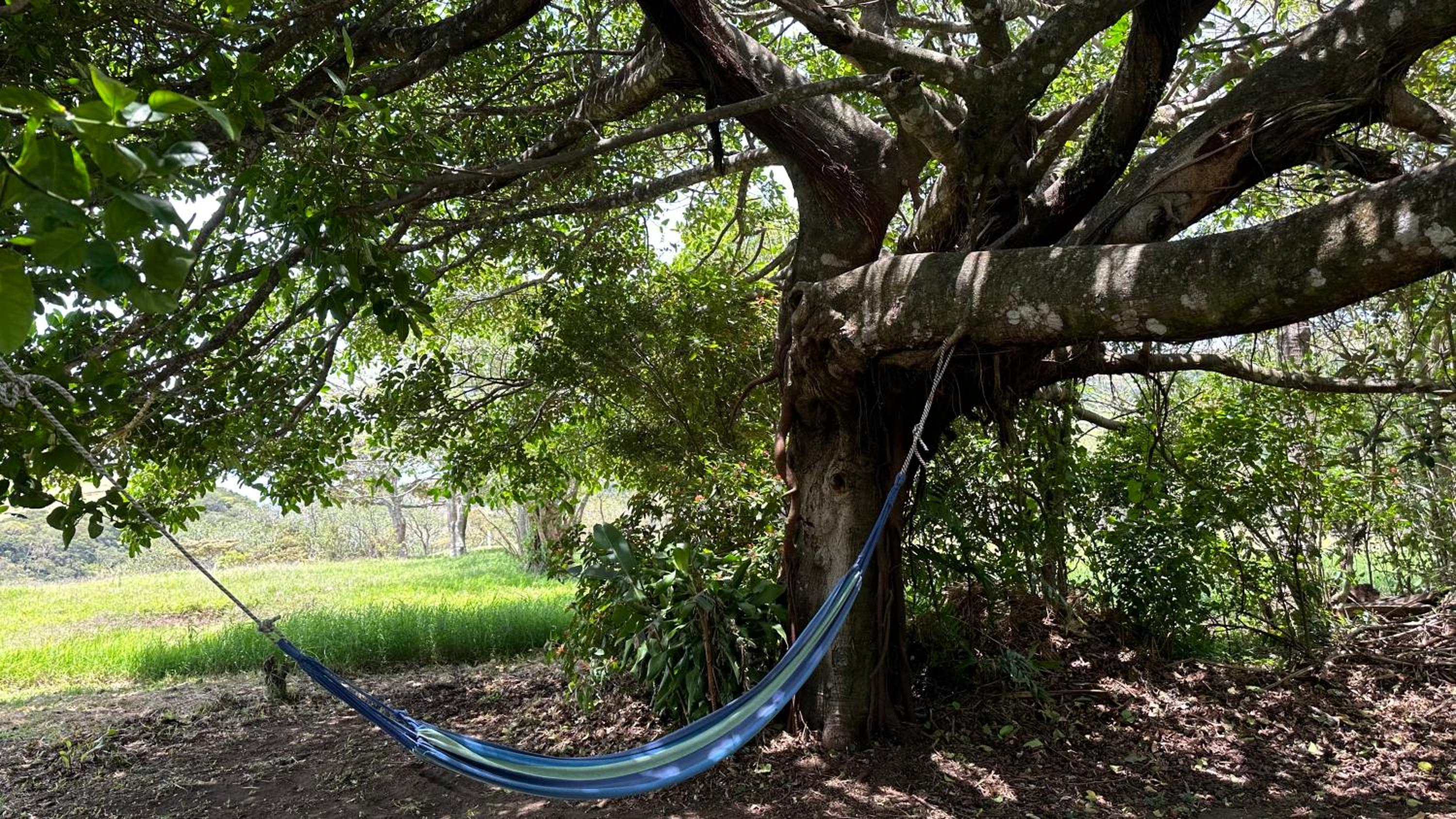 Campo Azul #3 - Monteverde