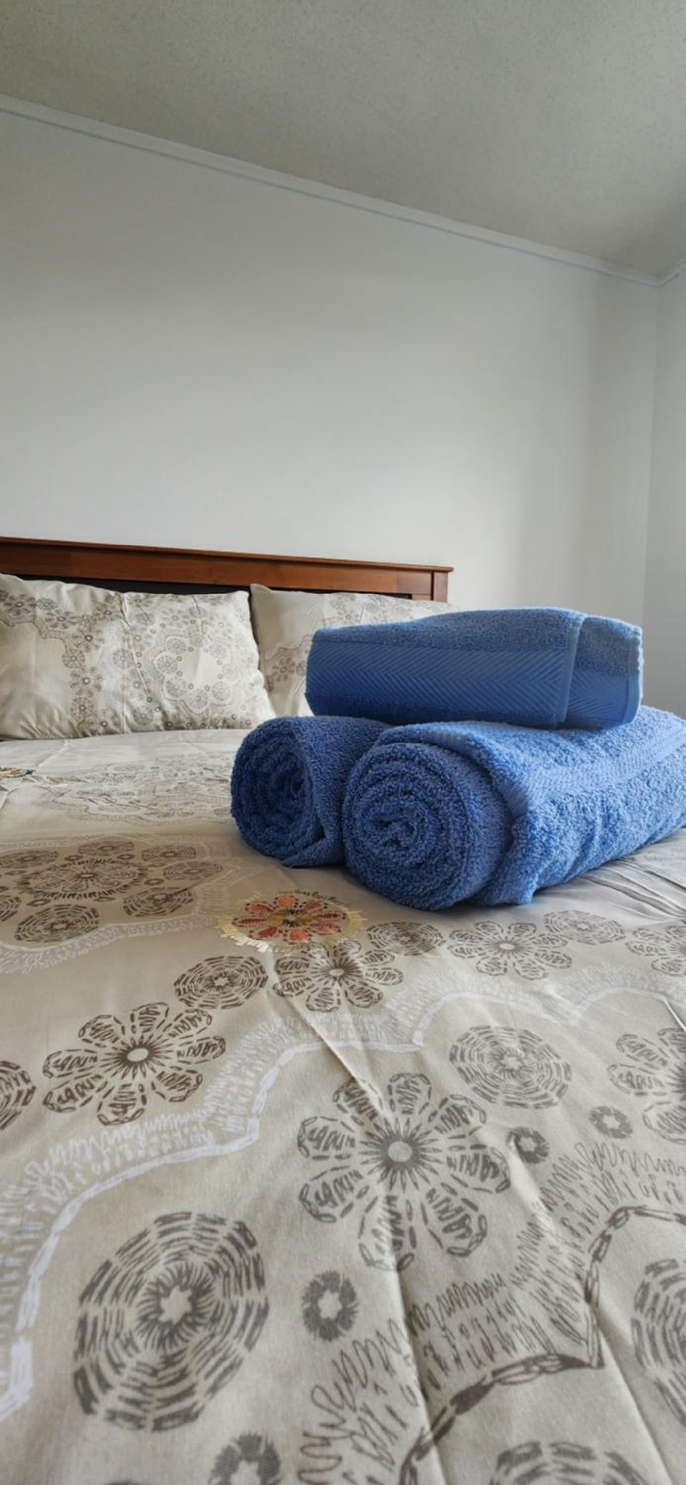 Departamento centro de Valdivia, Los Laureles 270, Isla Teja