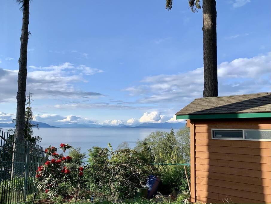 Waterfront Eagle Nest