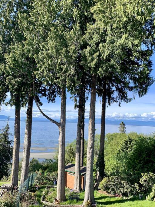 Waterfront Eagle Nest