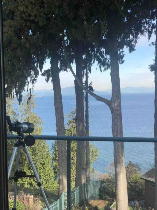 Waterfront Eagle Nest