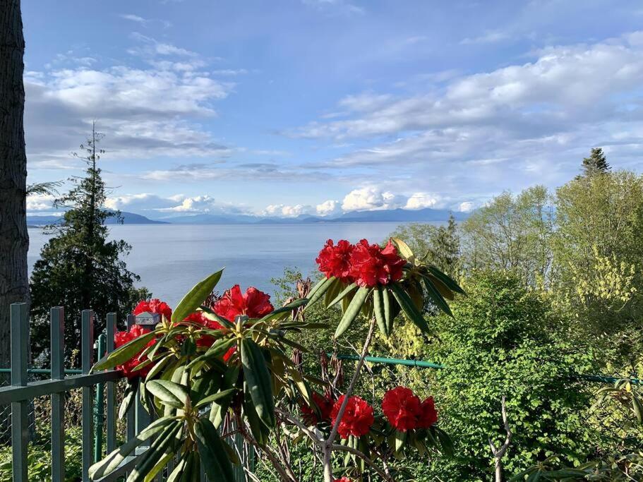 Waterfront Eagle Nest