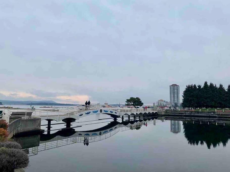 Waterfront Eagle Nest