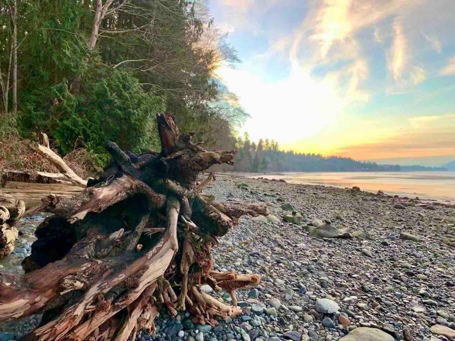 Waterfront Eagle Nest