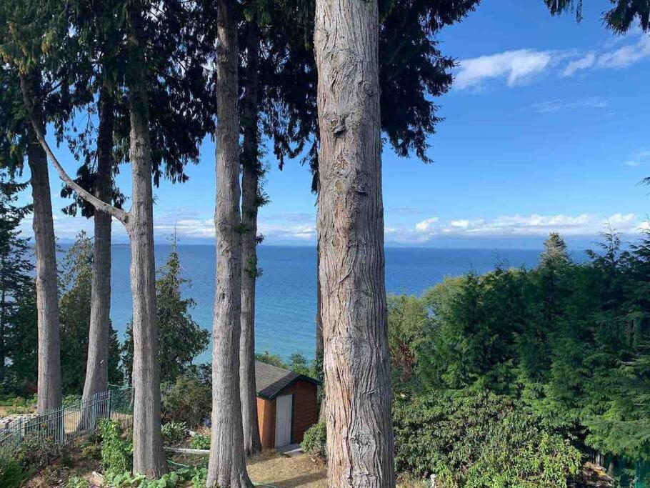 Waterfront Eagle Nest