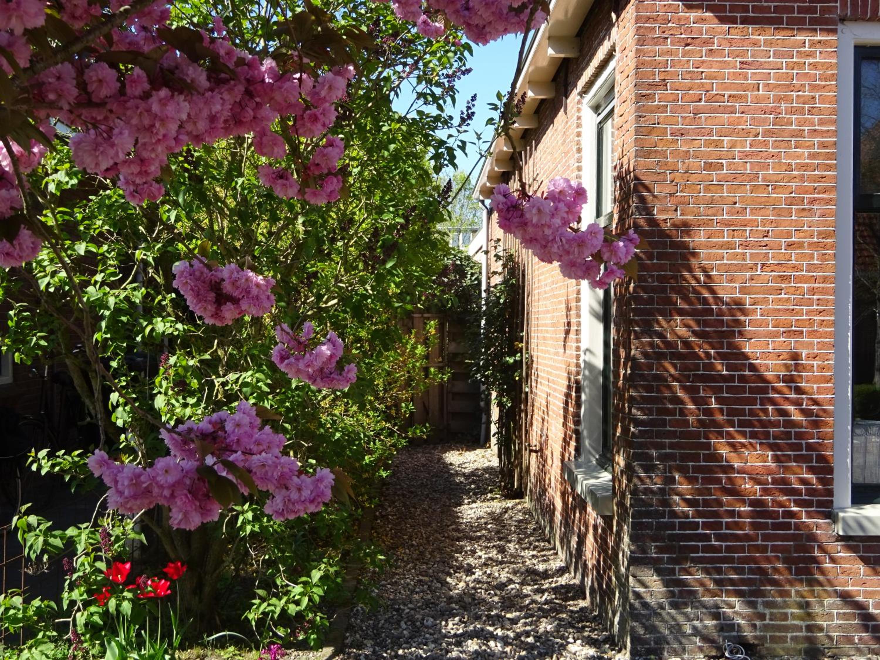 Photo 40