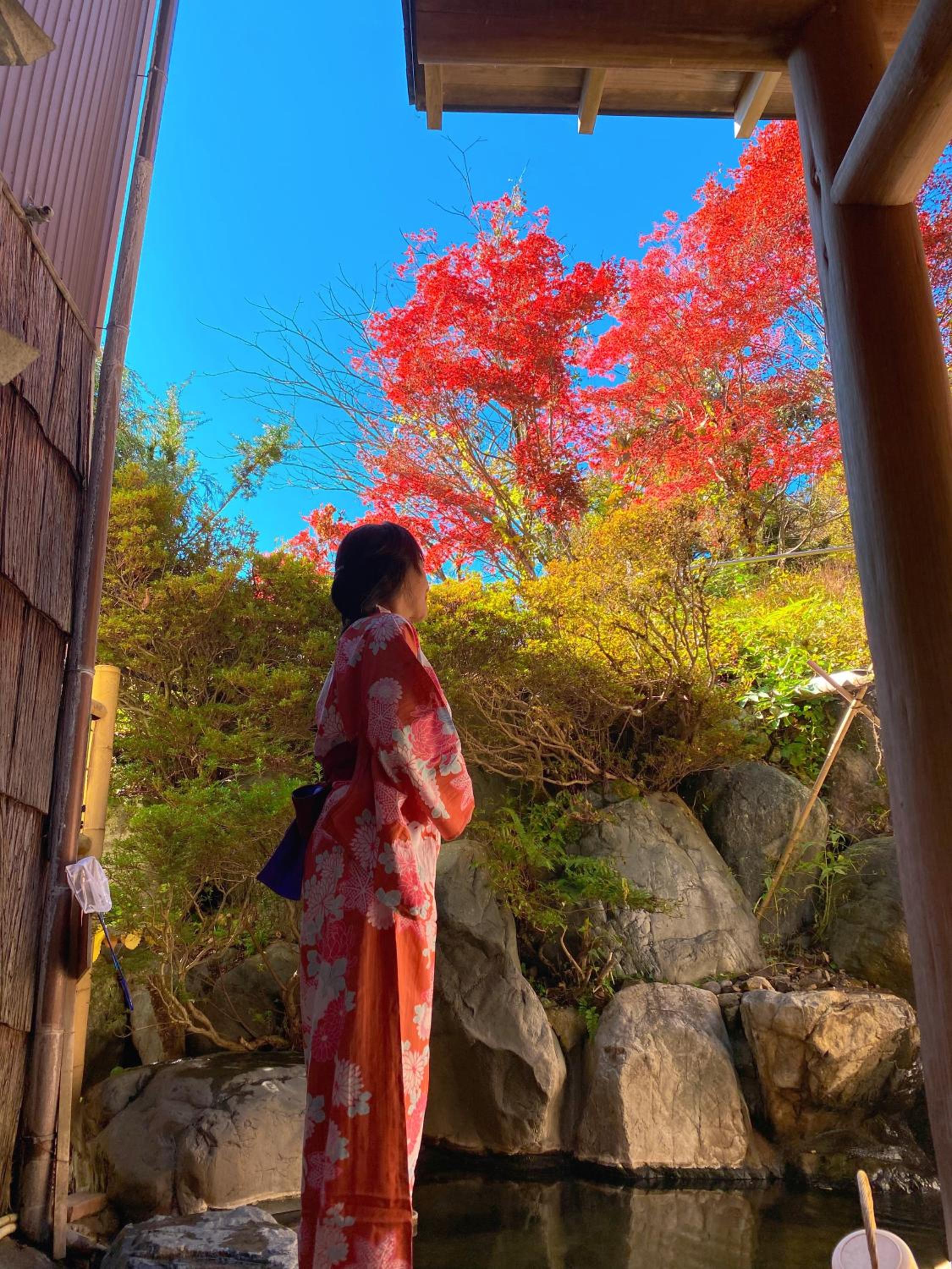 Hakuunsou