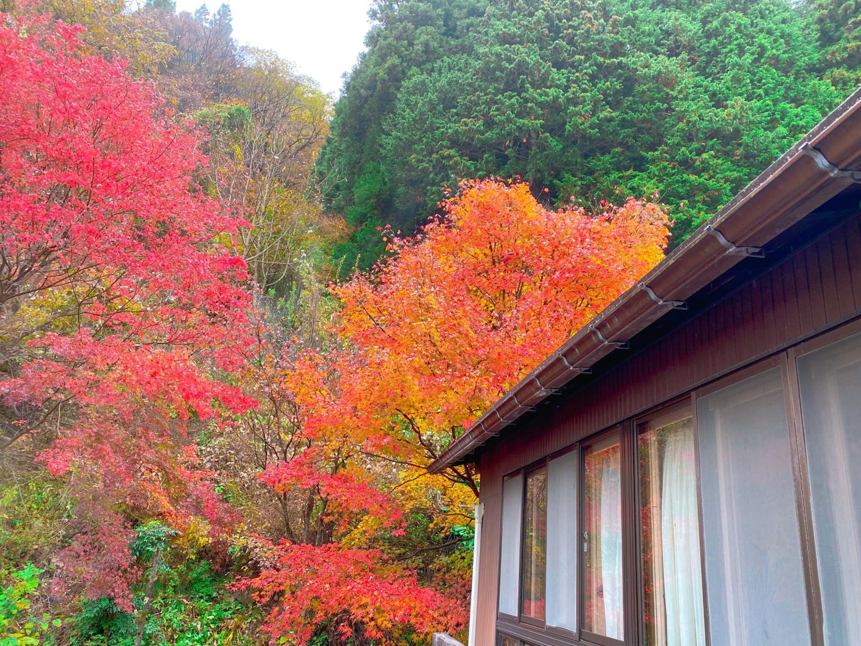 Hakuunsou