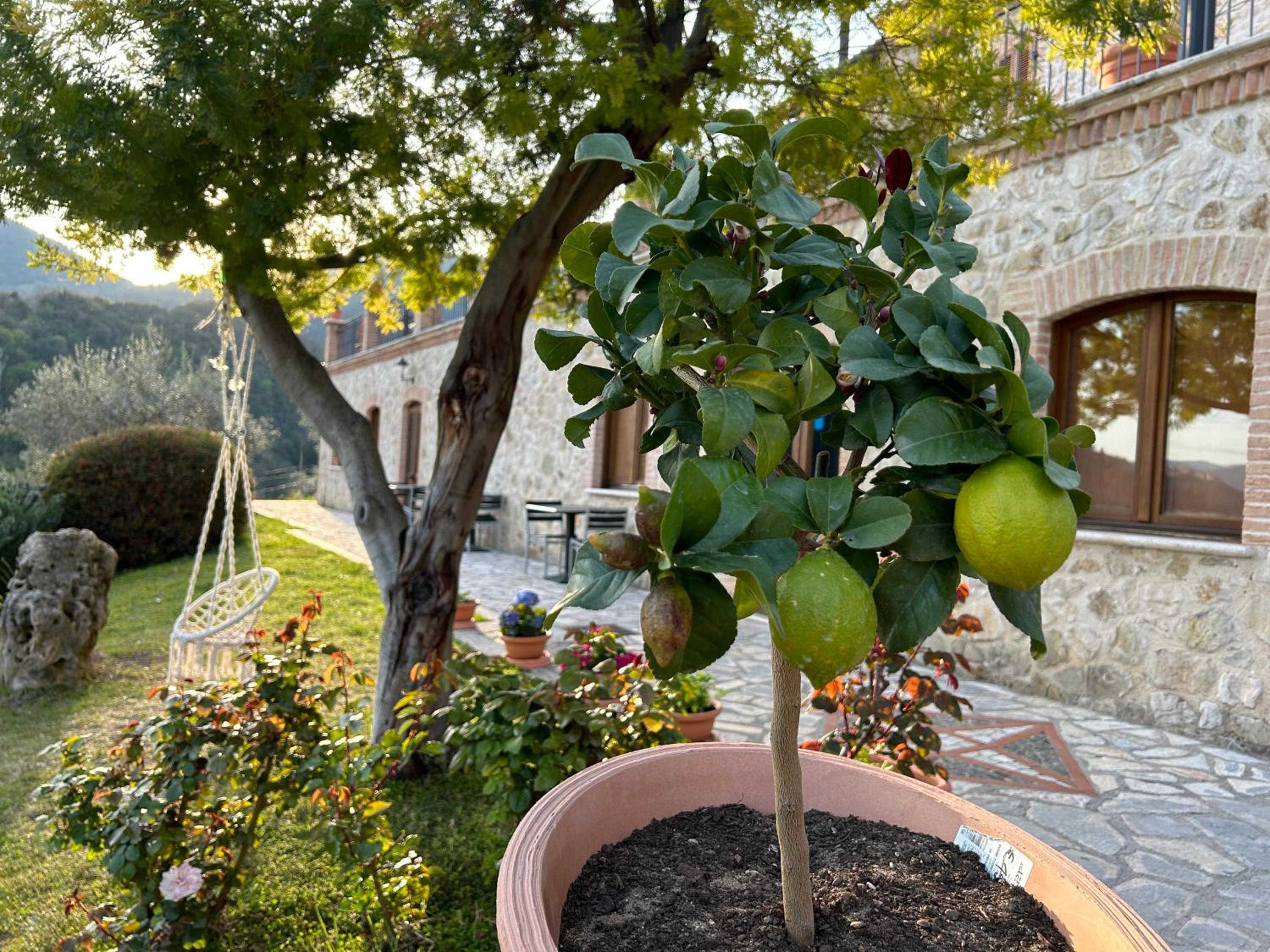 La Tenuta dei Fiori