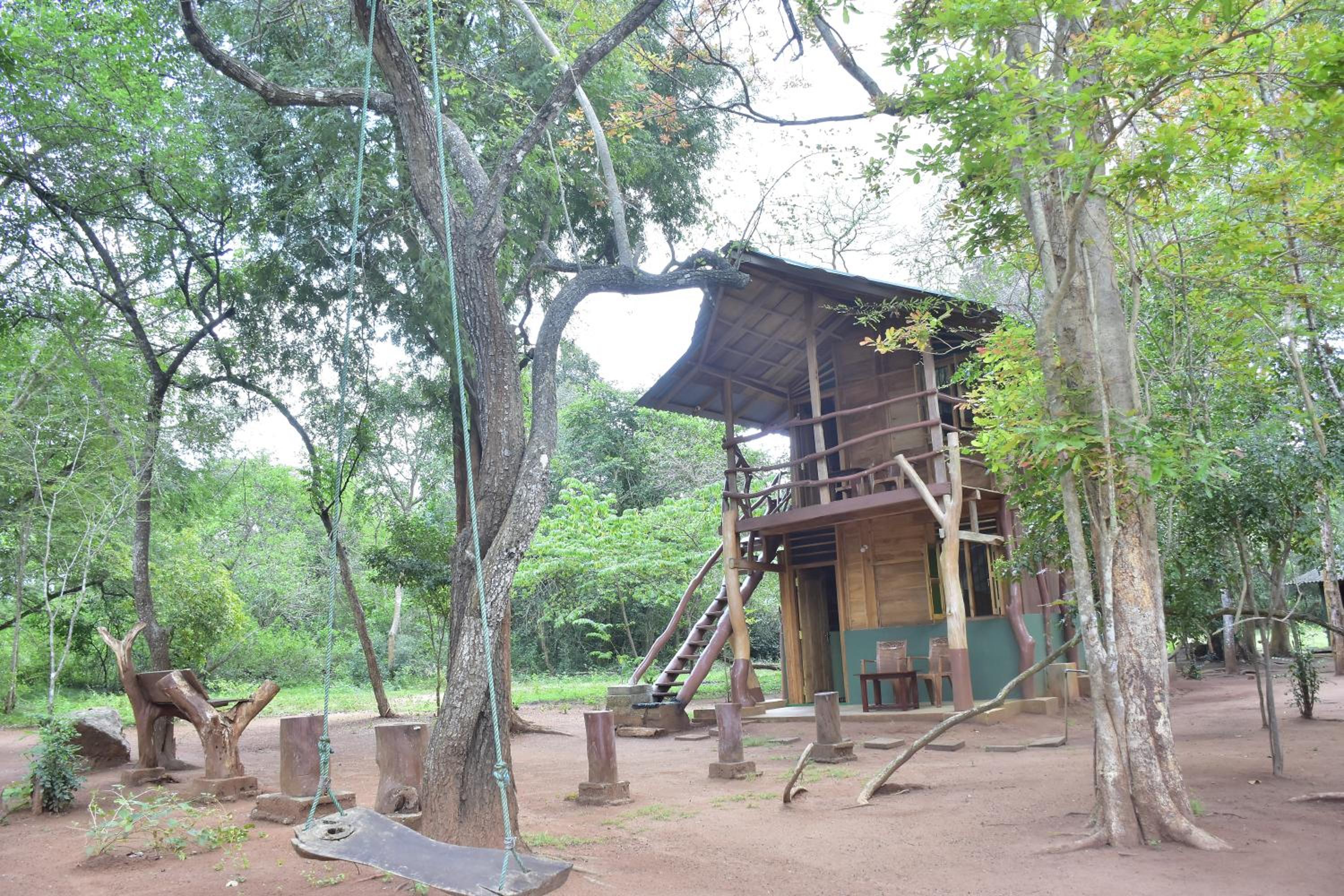 Wilpattu Jungle Resort view 5