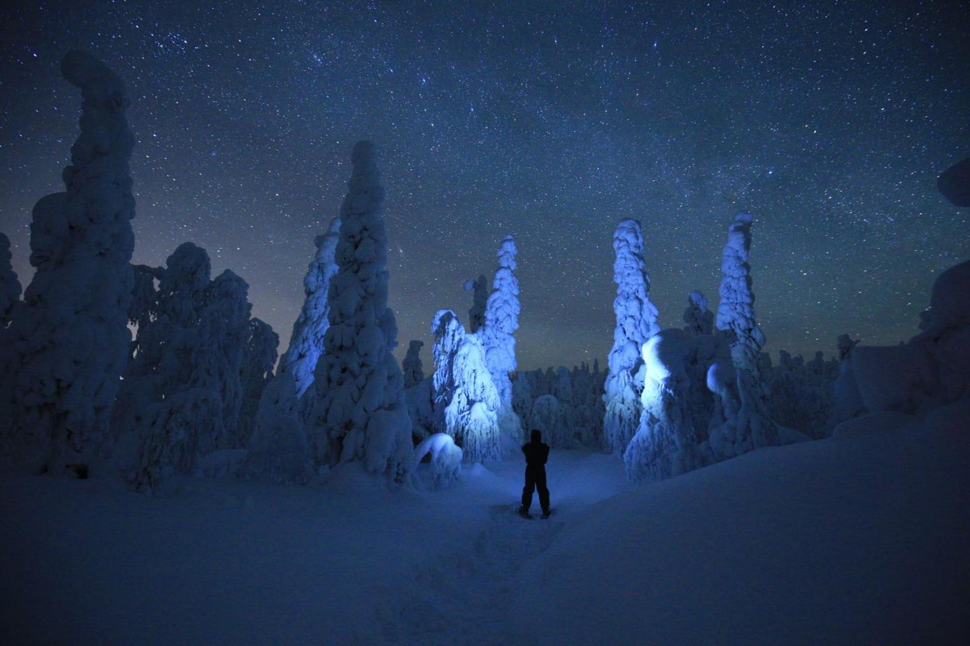 Northernlight guesthouse