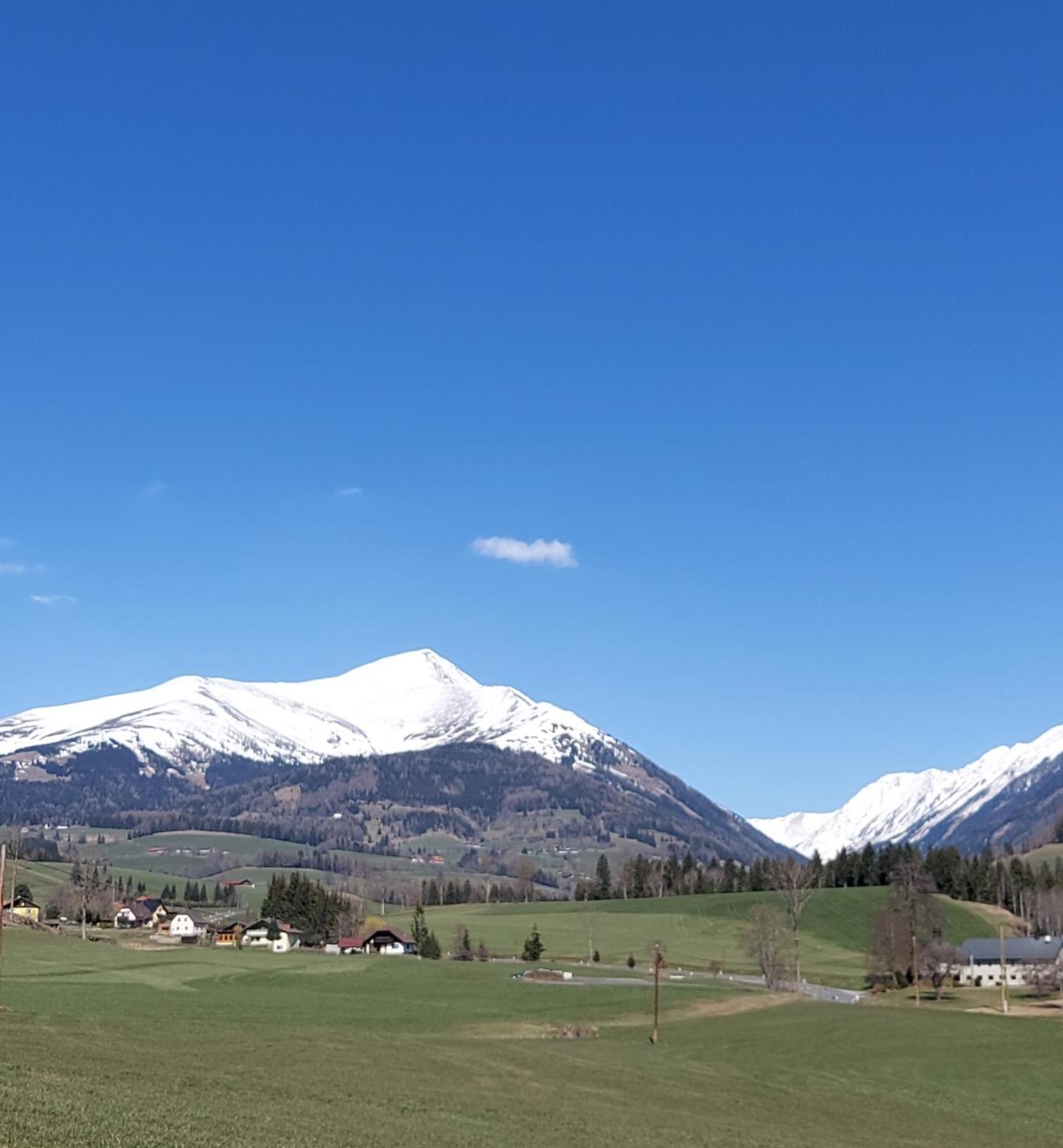 Greimblick
