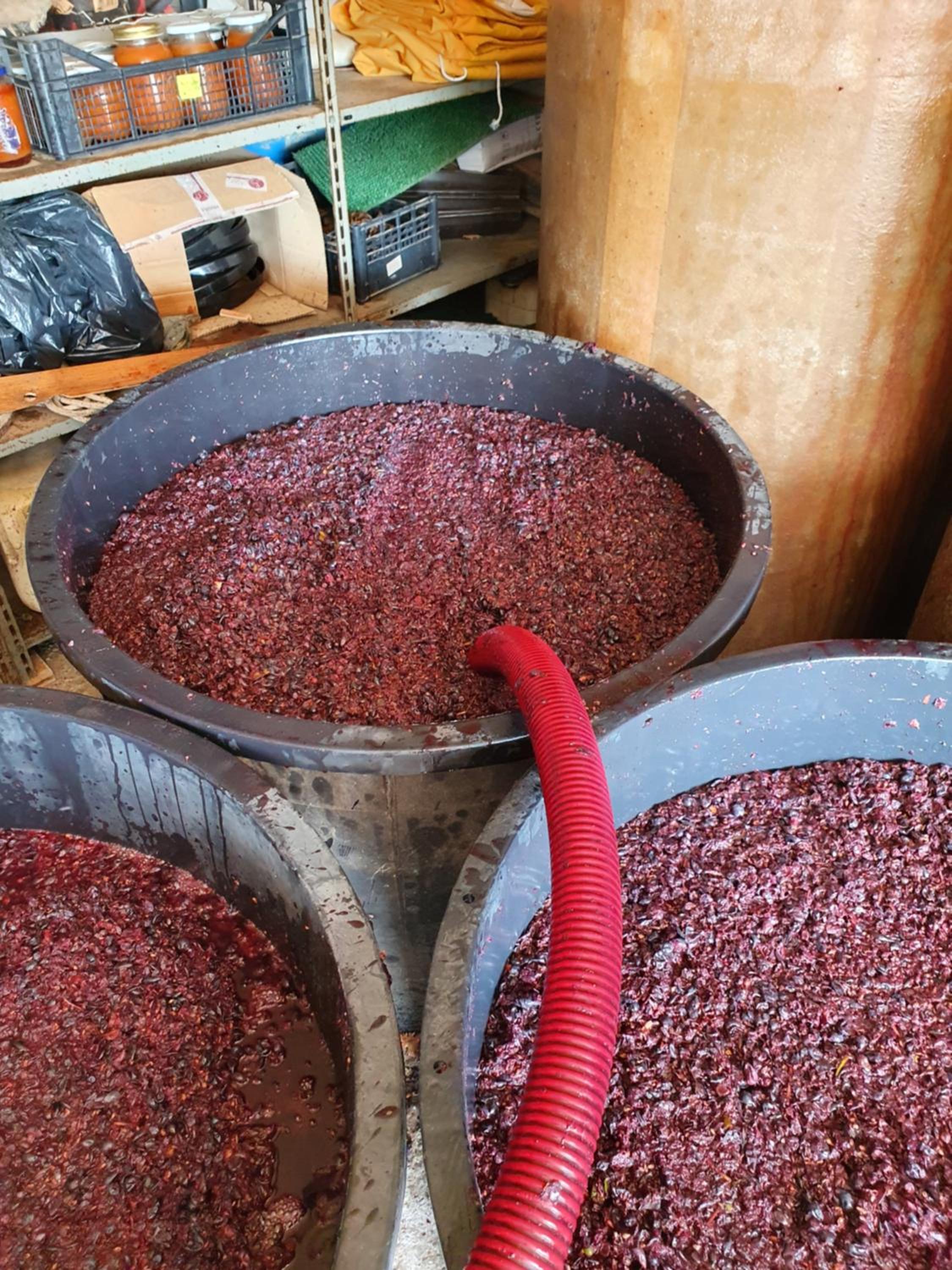 Azienda Agricola Sinisi