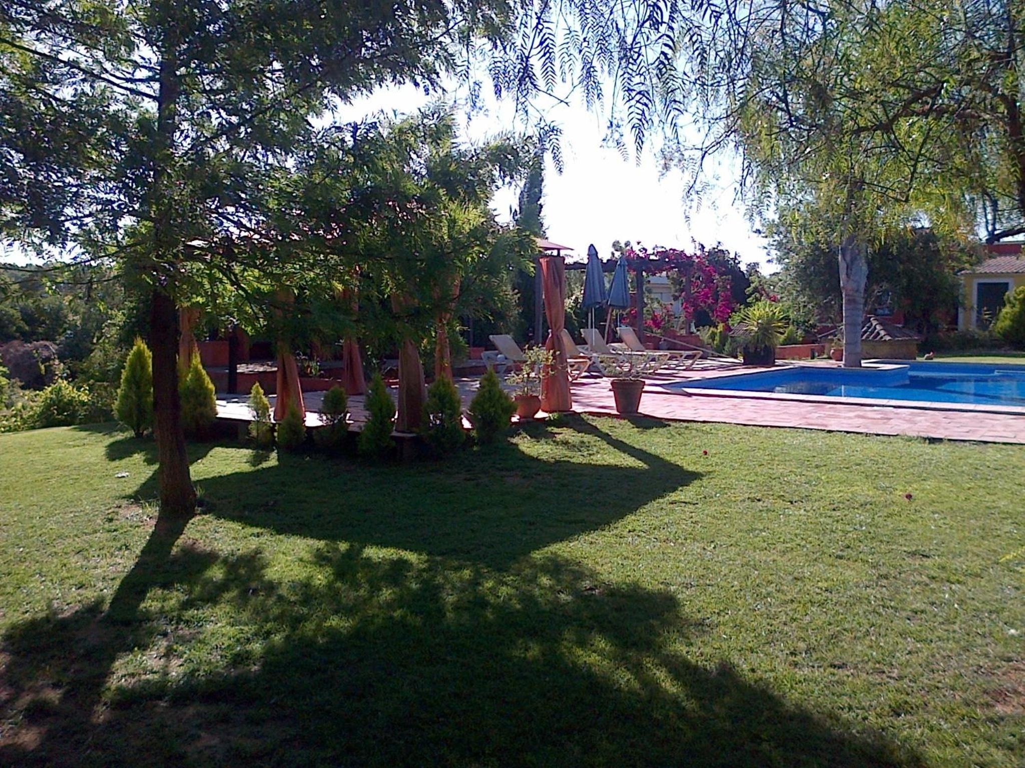 Photo 29