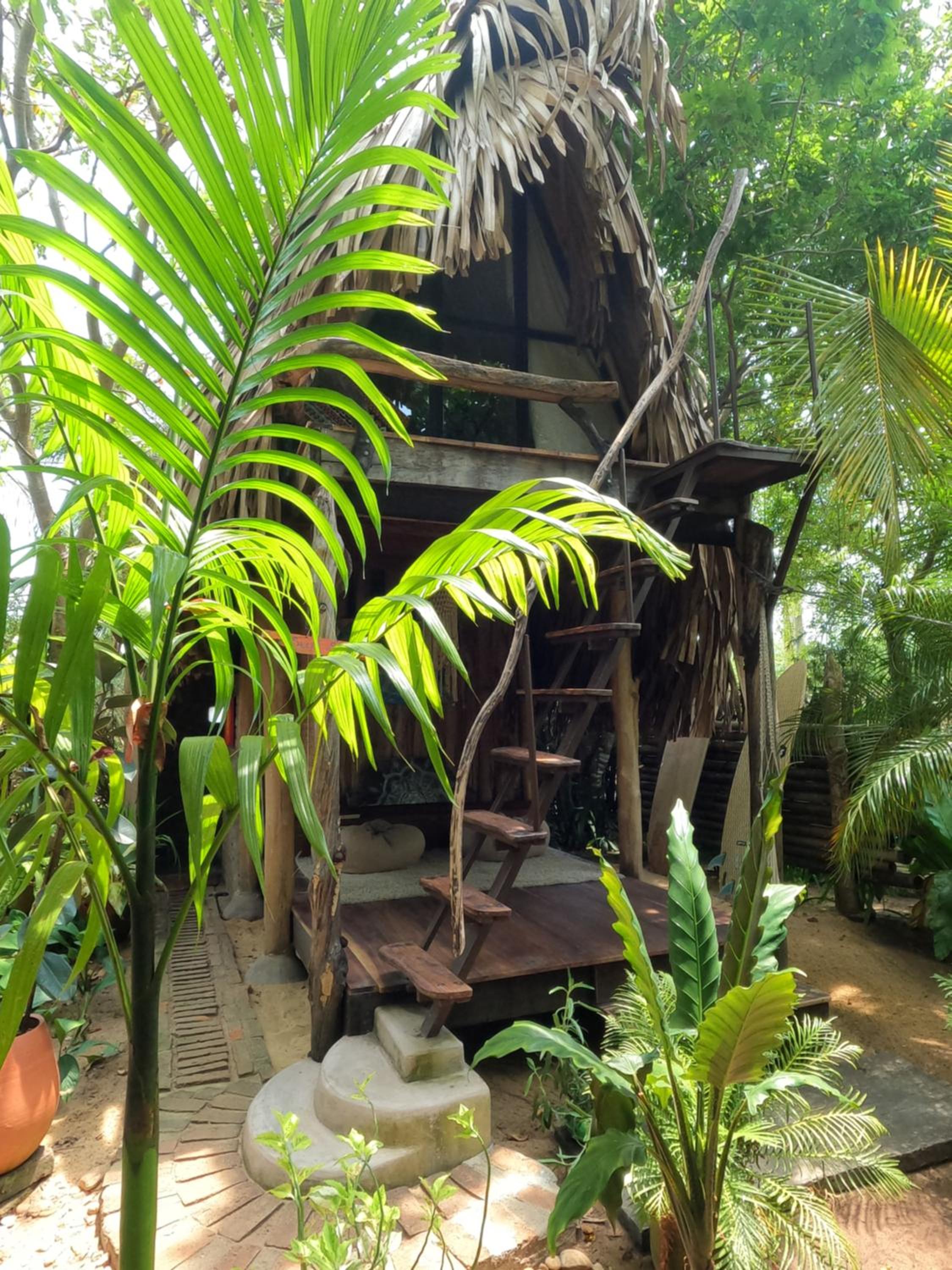 Photo 25