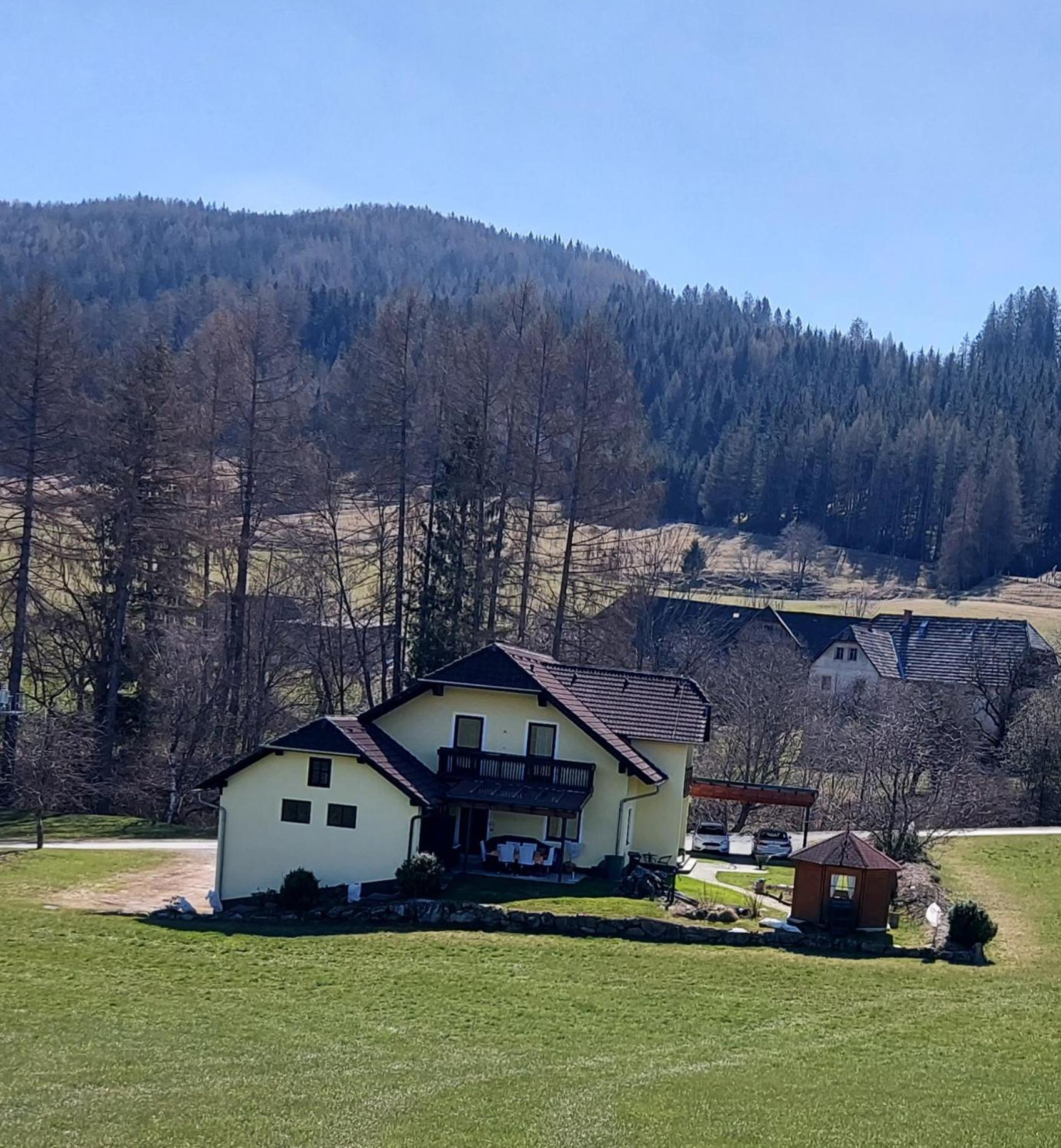 Greimblick