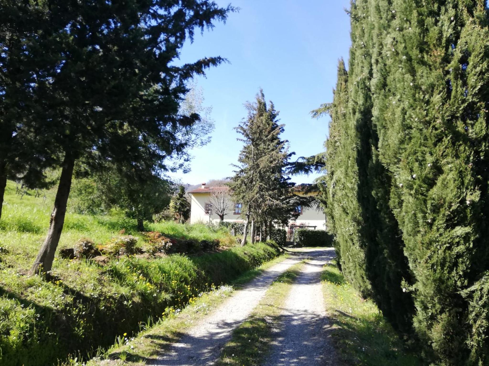La Maroneta view 5