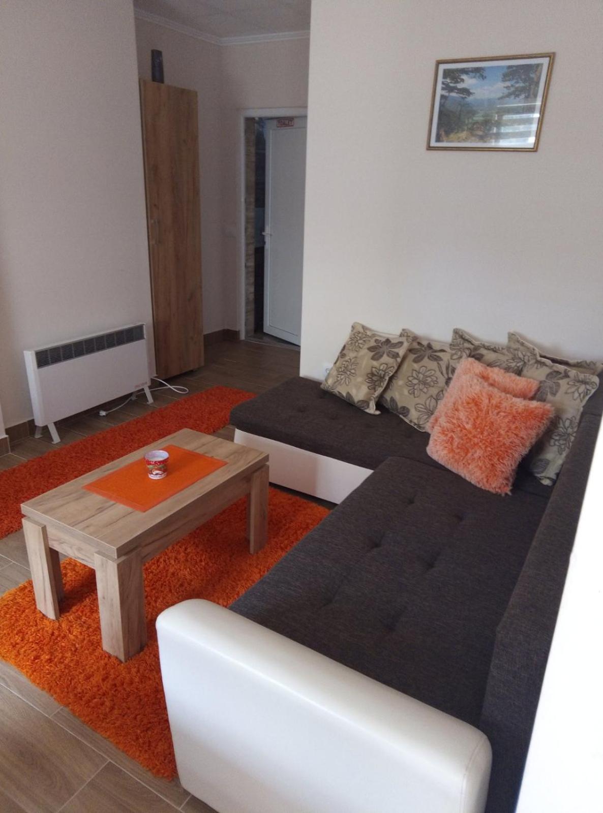 Apartmani Jela Tara view 4