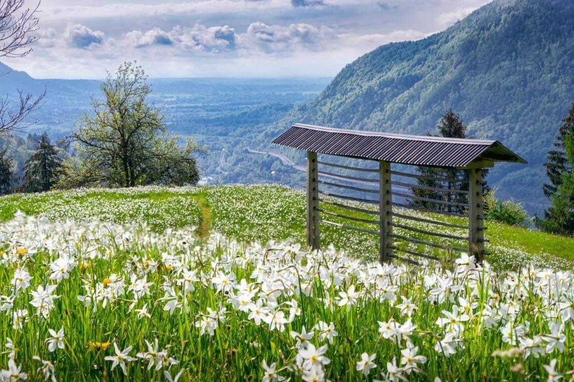 Alpine Cottage Golica