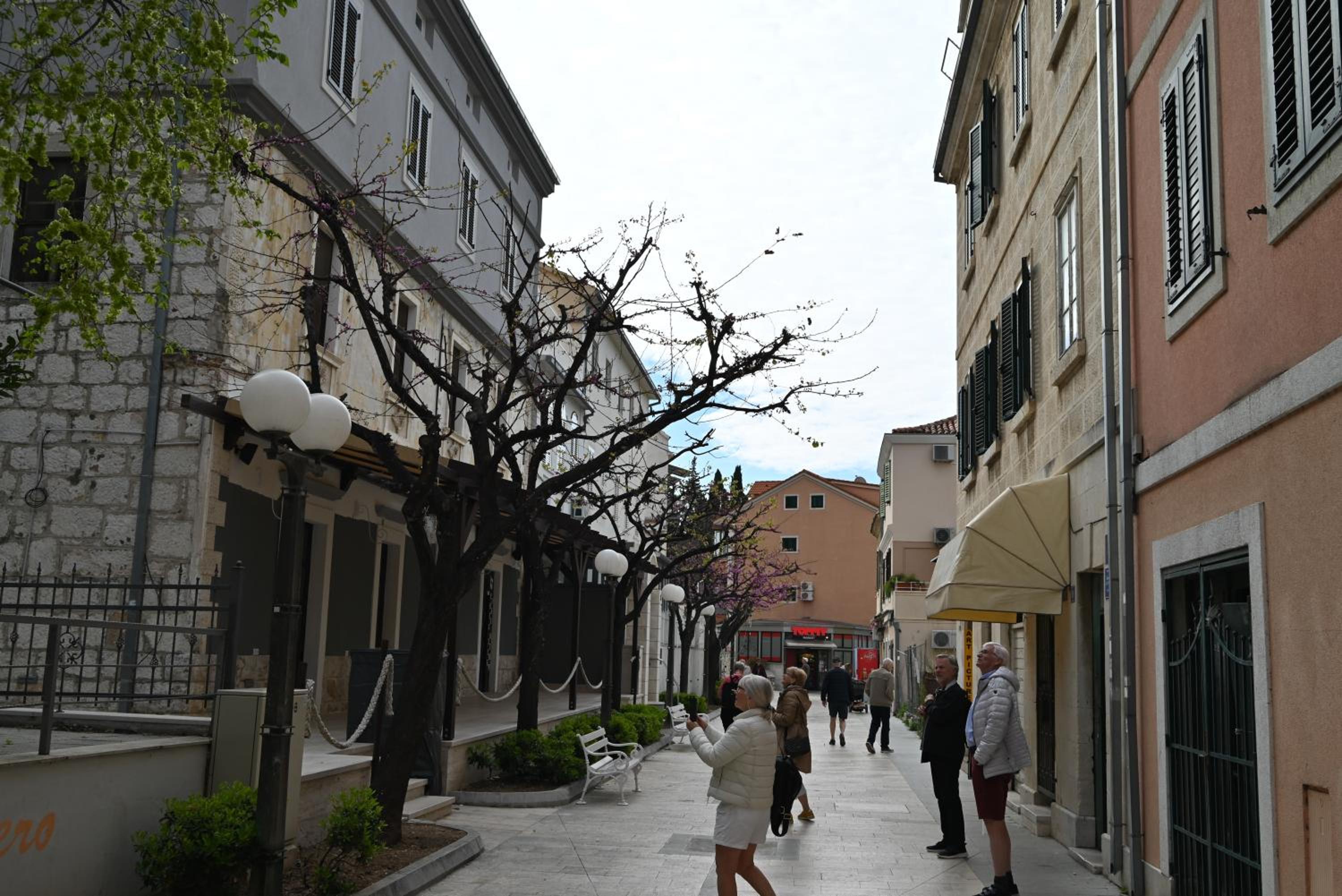 Photo 31