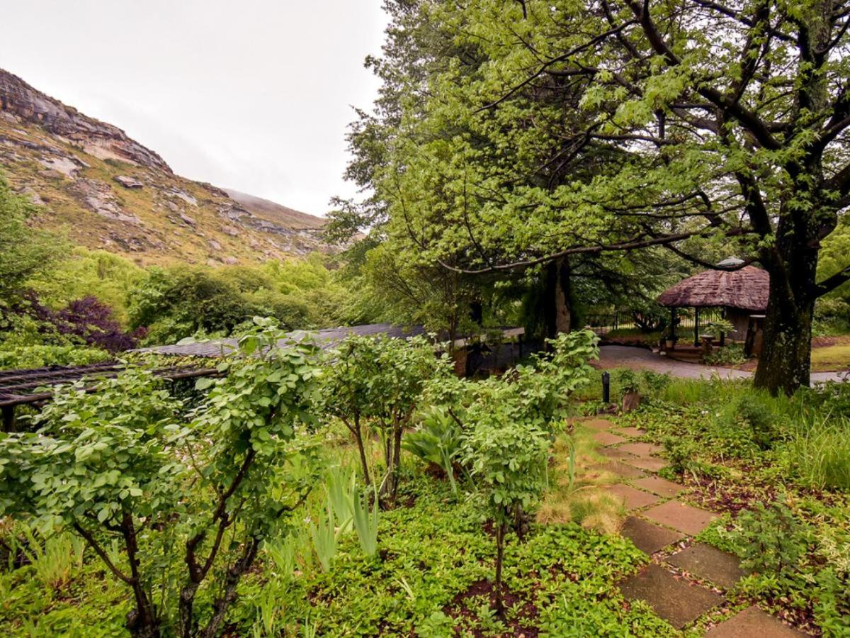 Rooiland Clarens