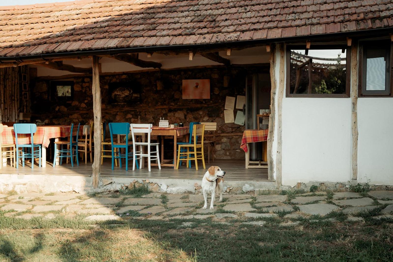 The Old Nest