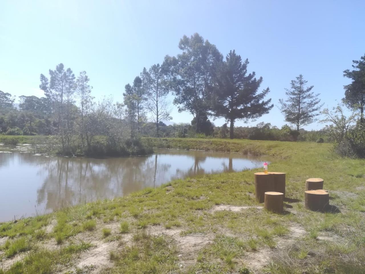 Beessential Farm