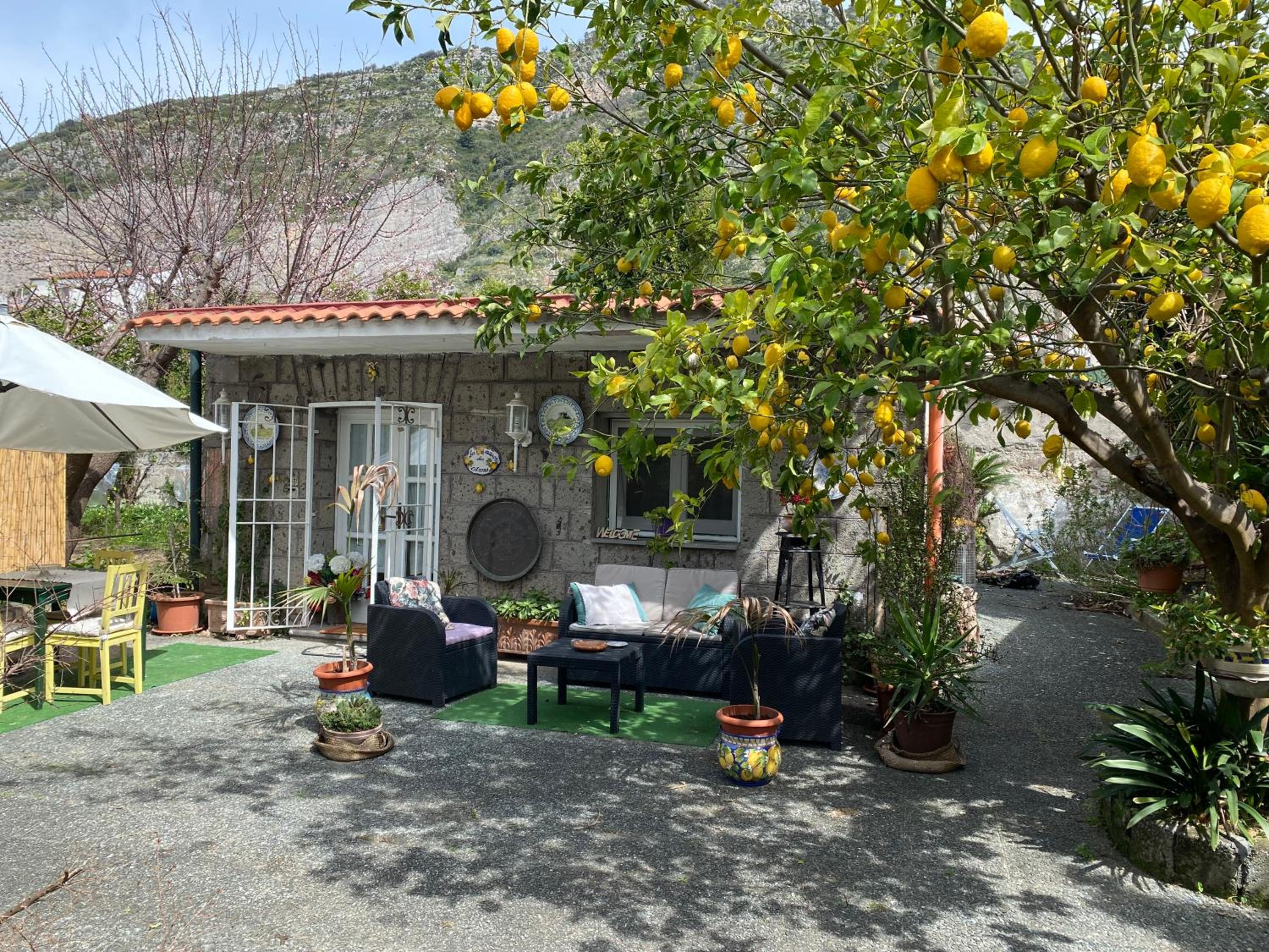 La maison des citrons photo 5