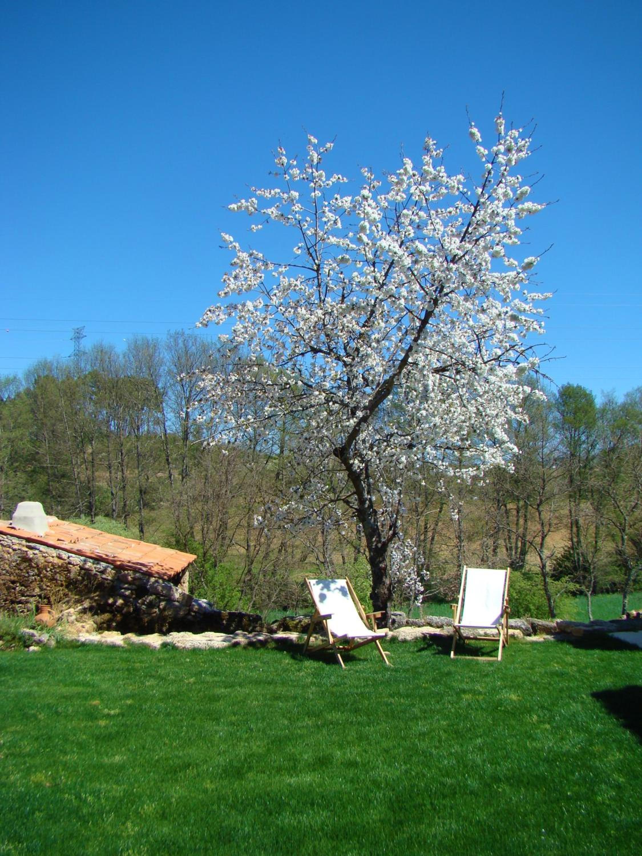 Quinta de Seves
