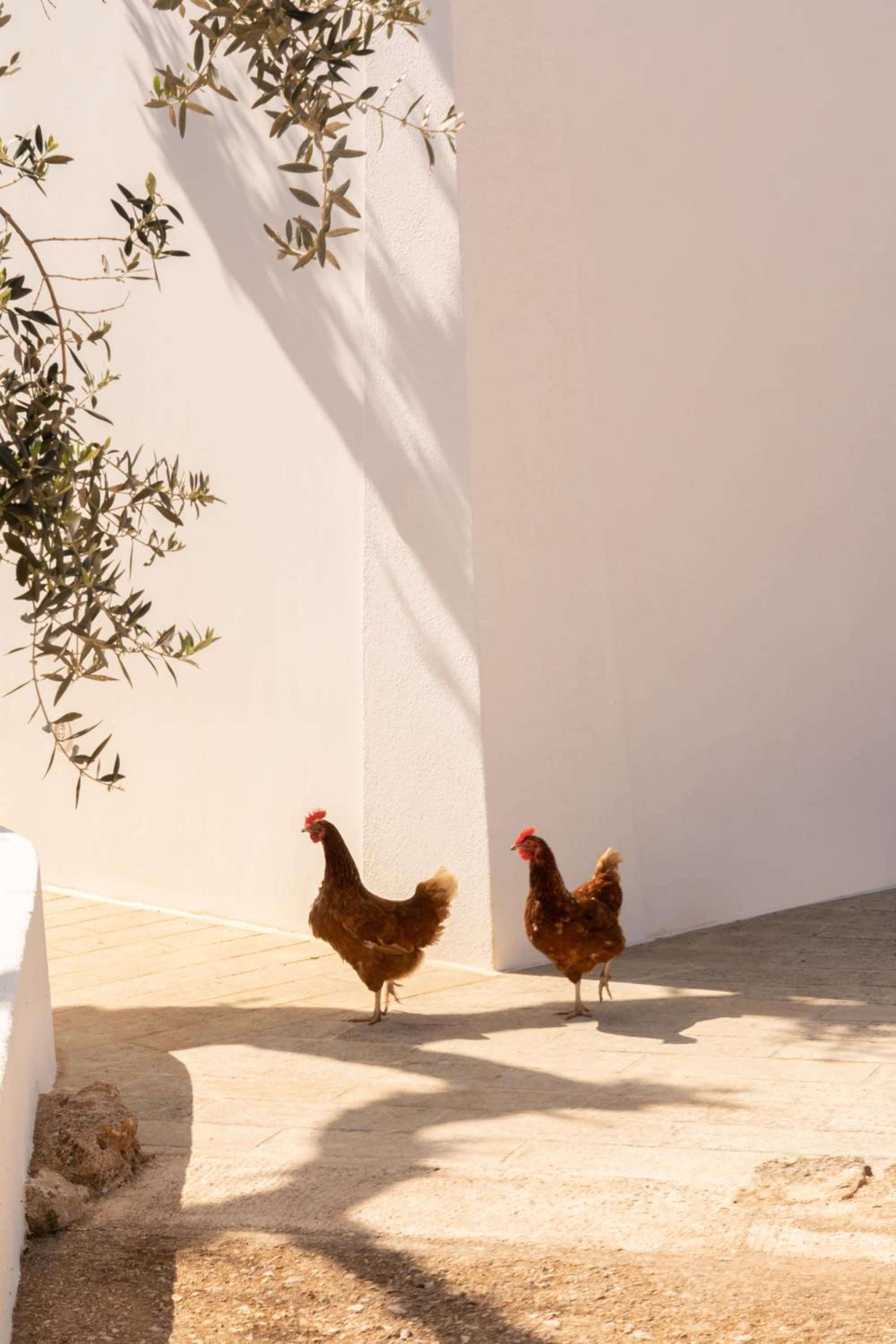 Sikalindi Apulia view 5