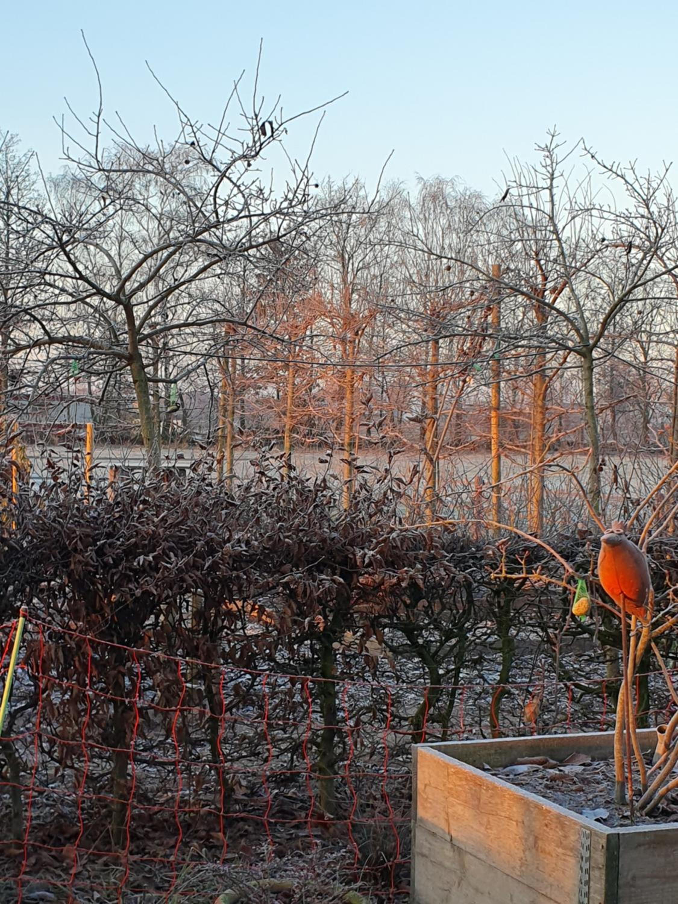 Recreatiewoning De NieuwenHof