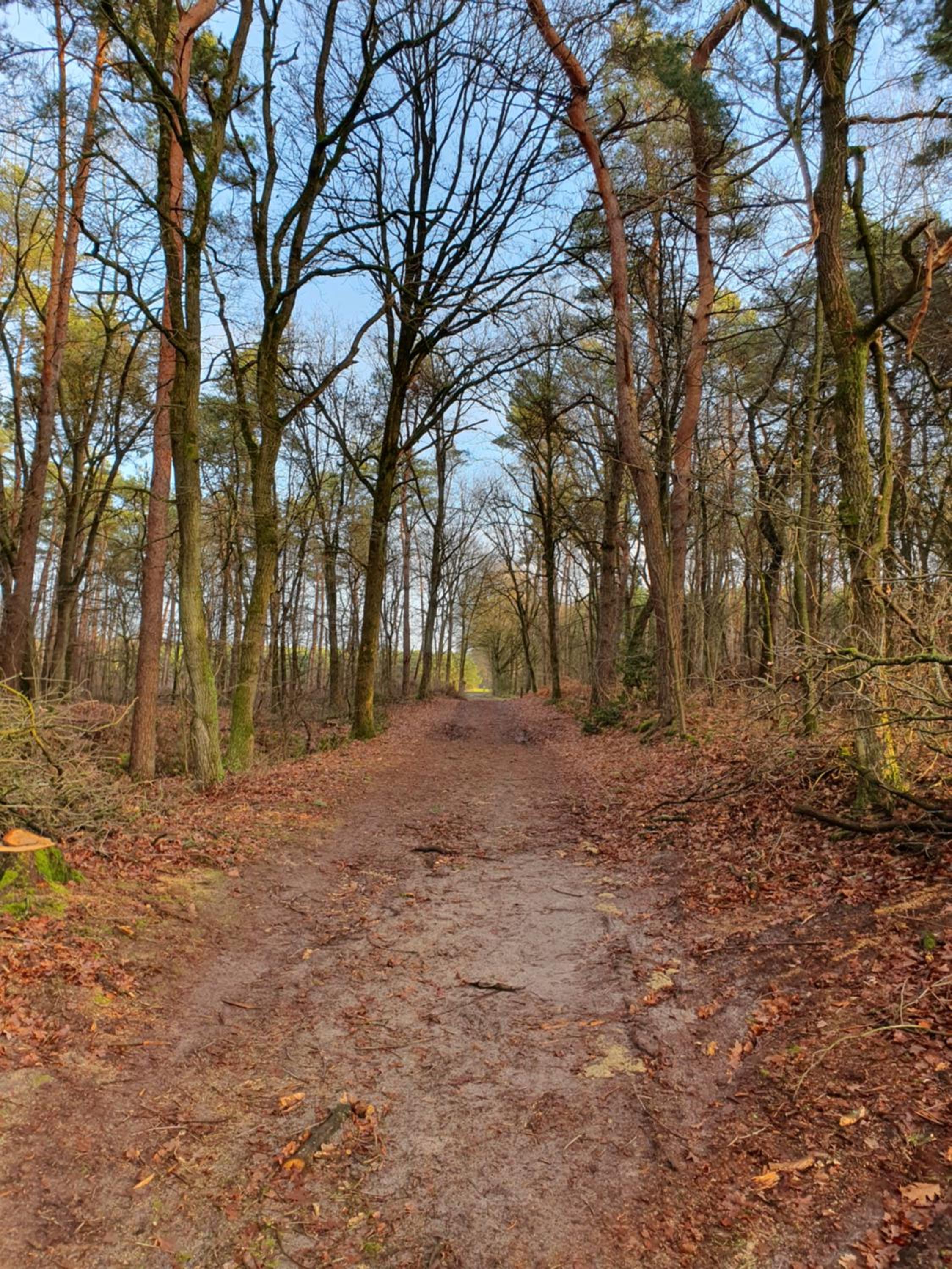 Recreatiewoning De NieuwenHof