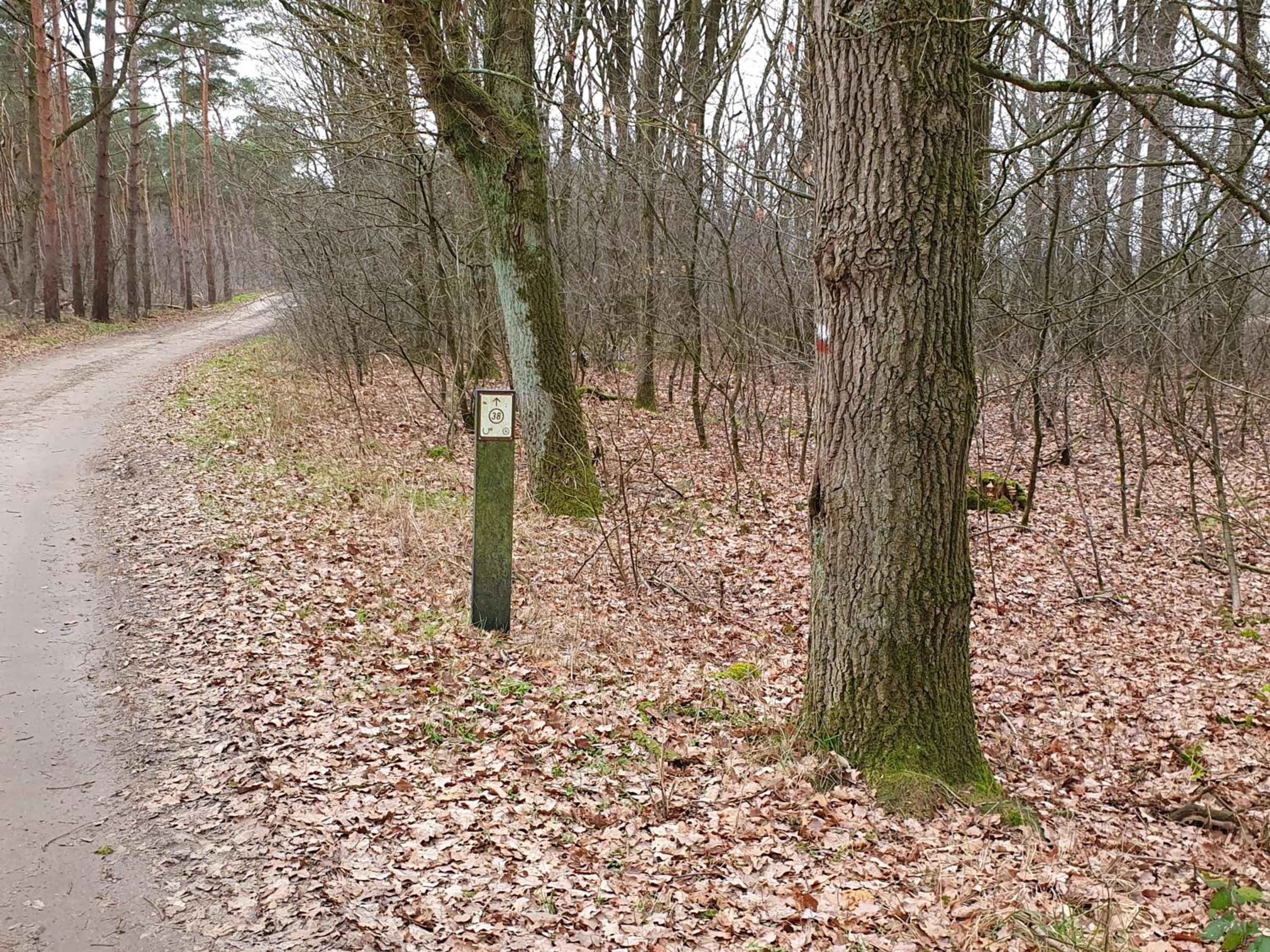 Recreatiewoning De NieuwenHof