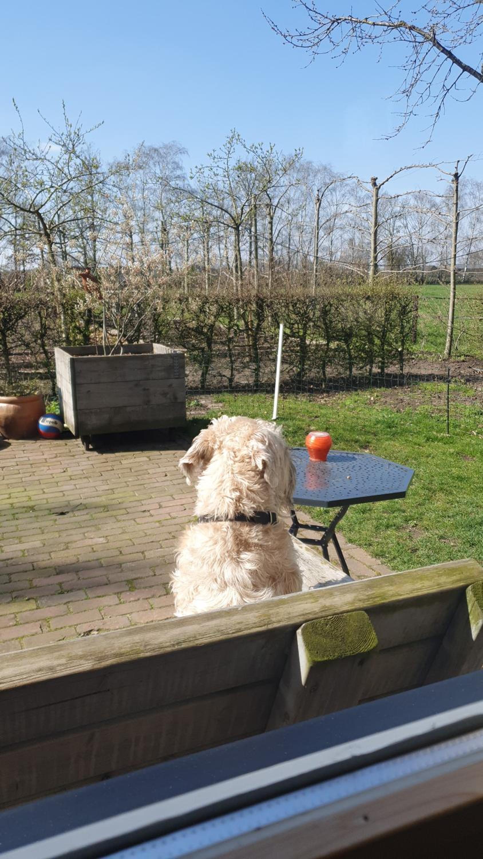 Recreatiewoning De NieuwenHof