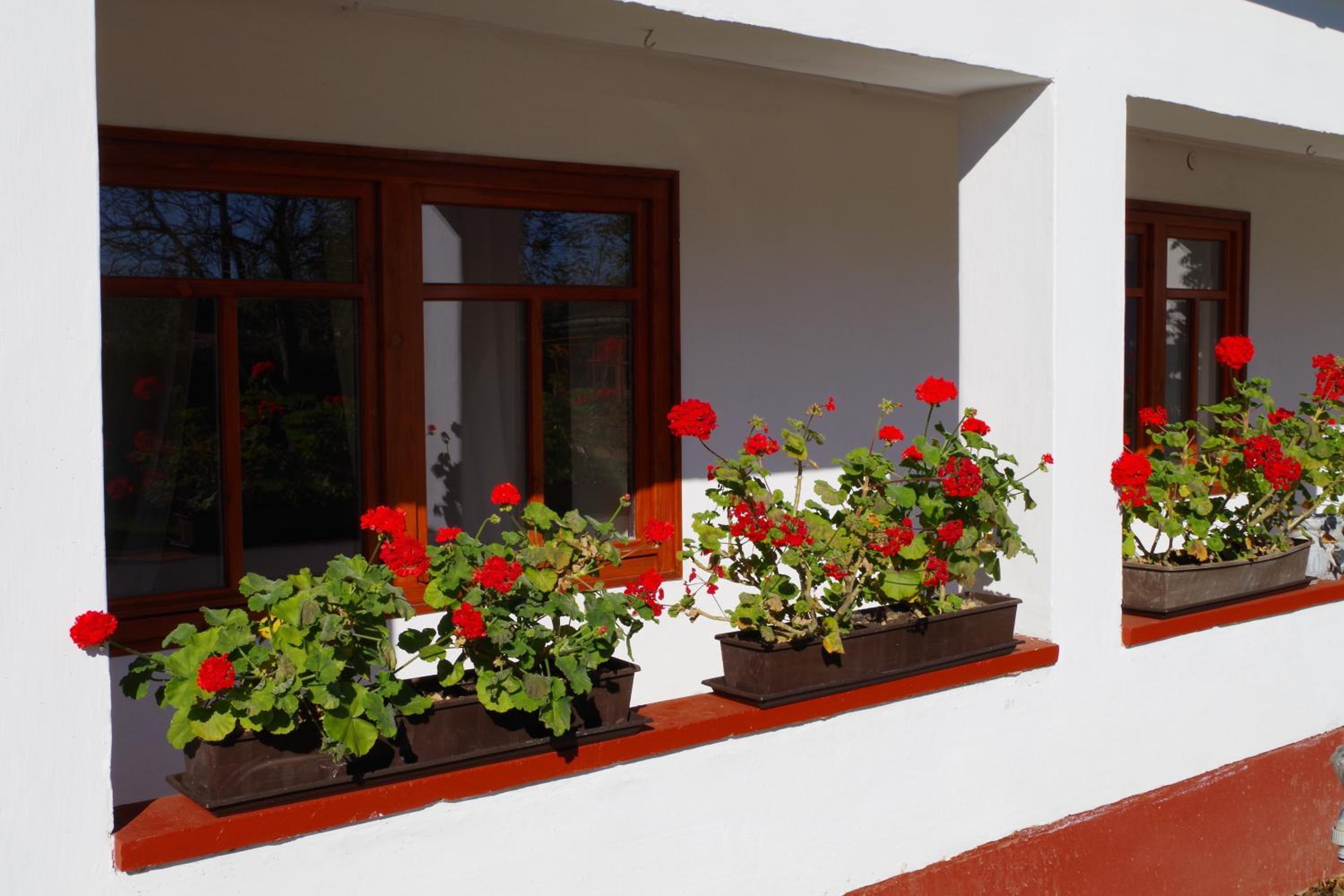 Guest House St. Mária view 4