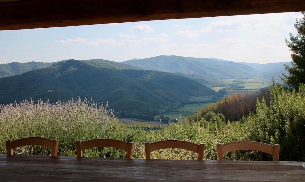 Torricella