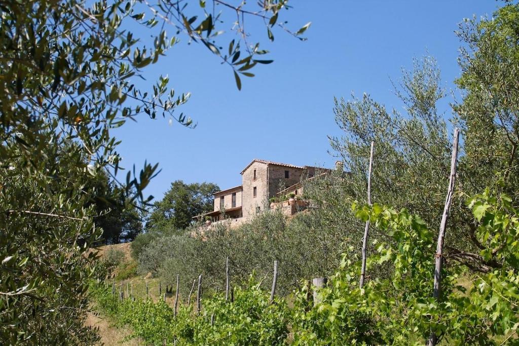 Torricella