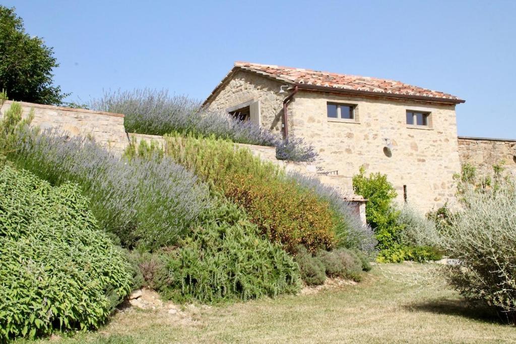 Torricella