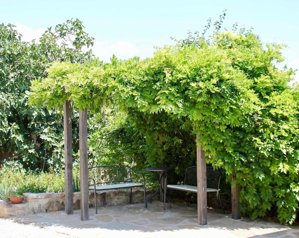 Torricella