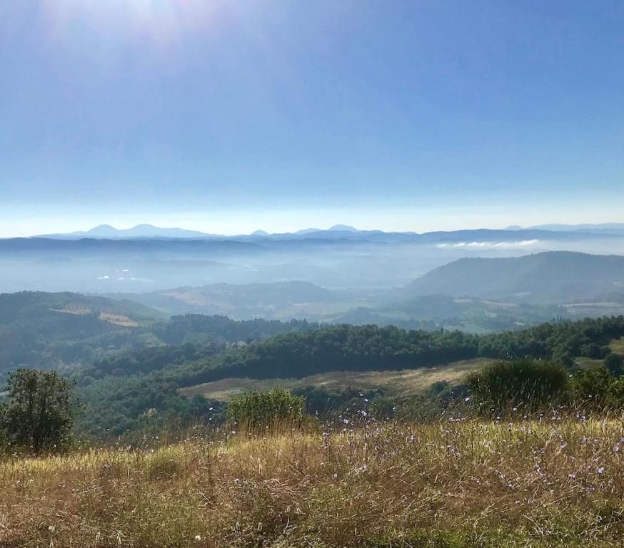 Torricella