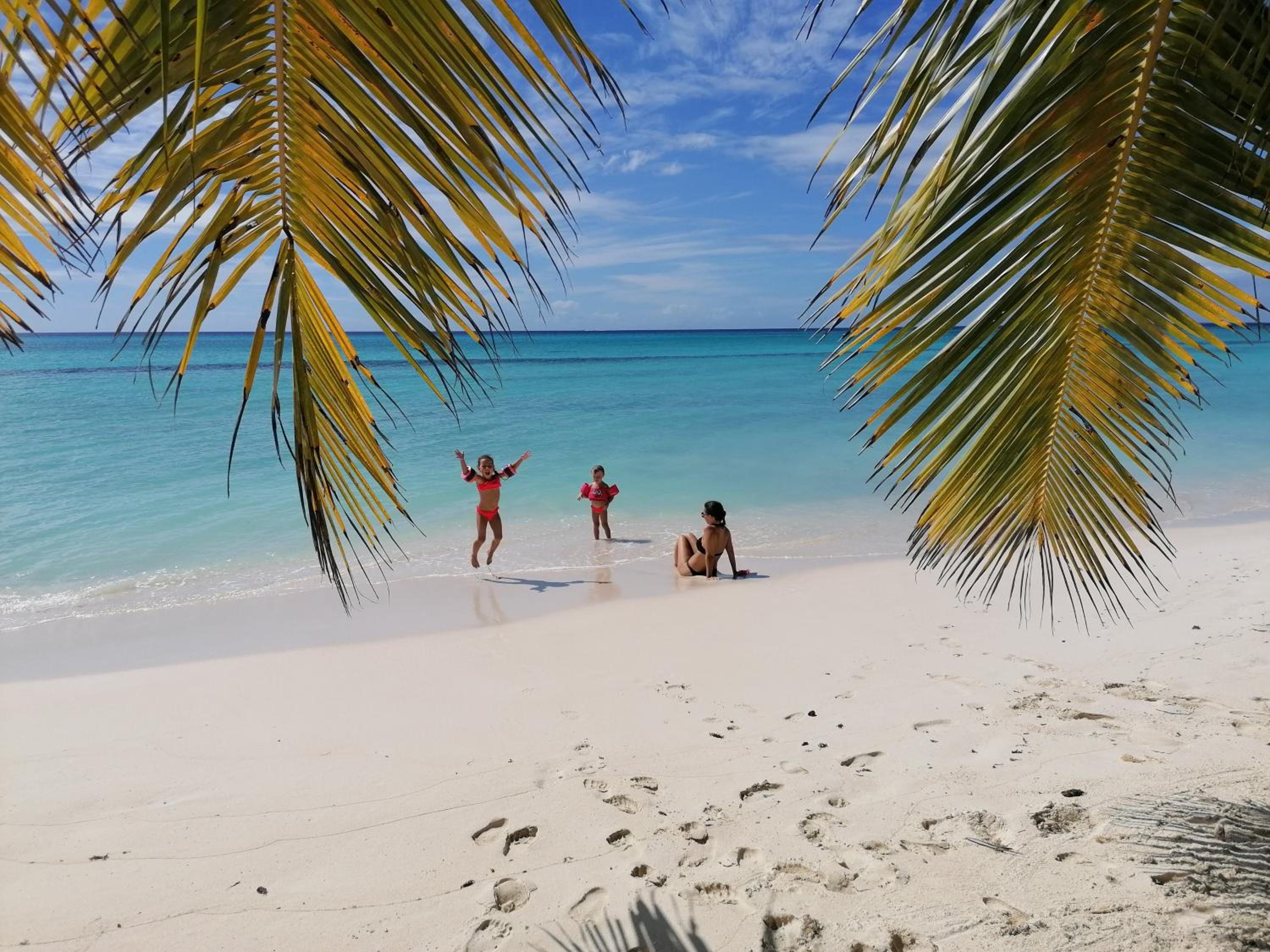 Caribbean Star - Estrella Dominicus Bayahibe