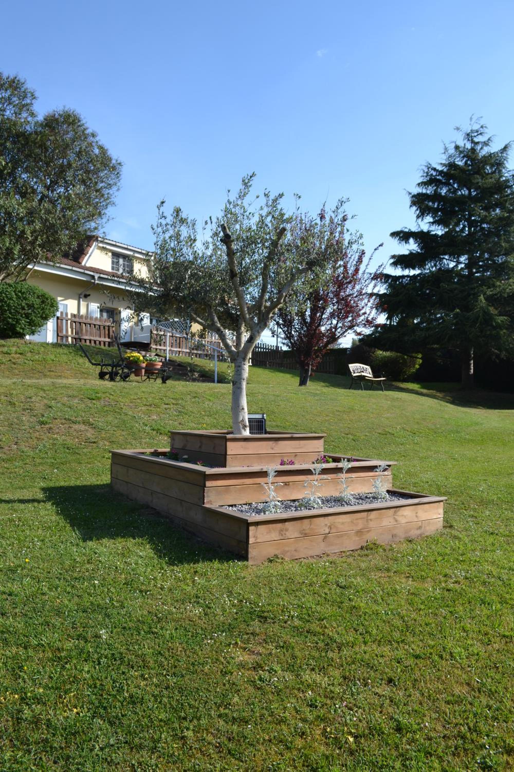 Photo 19