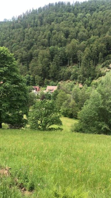 Haus an der Sieber Zimmer 4
