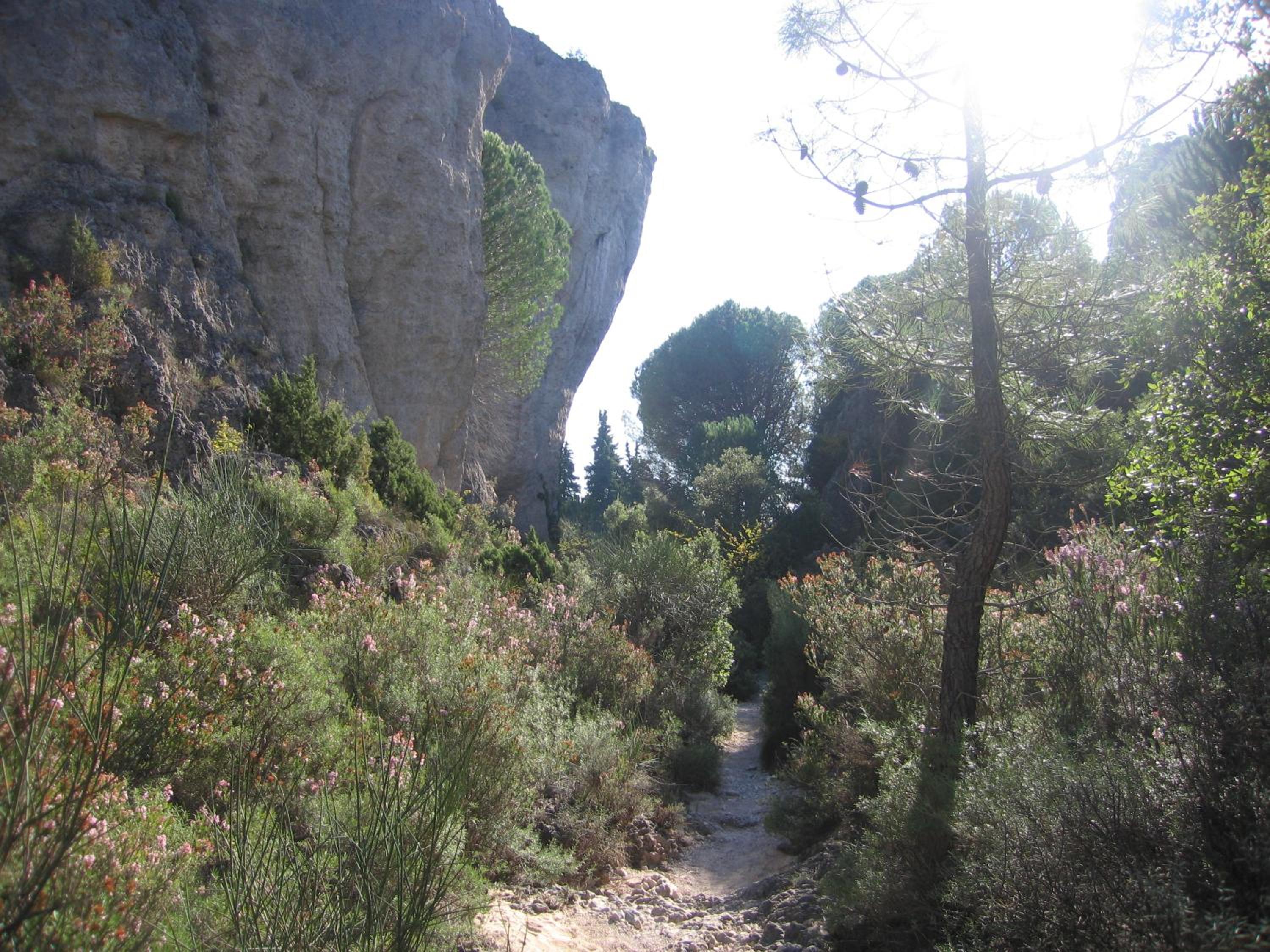 Photo 34