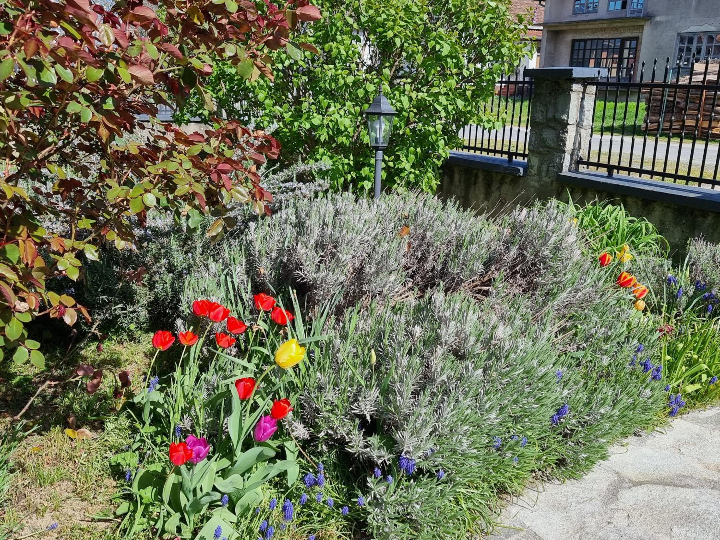 Photo 26